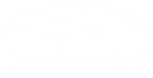 Car Beauty Salon Logo
